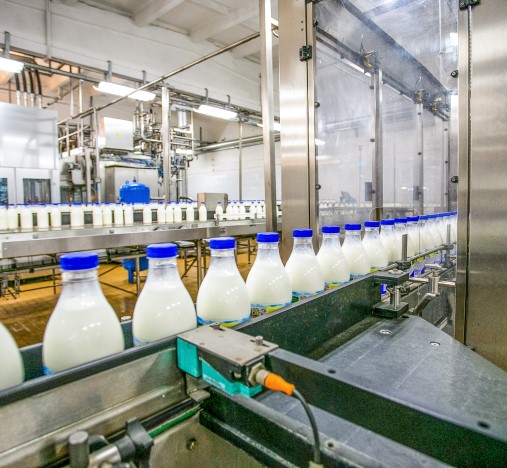 Imagen de una linea de producción de una fábrica de lacteos 